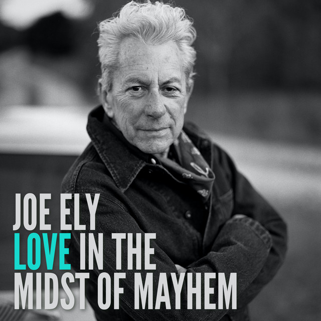 Love in the Midst of Mayhem cover art