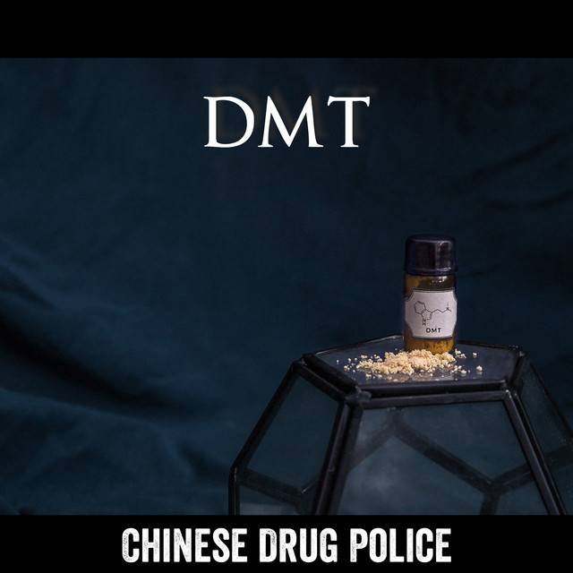 DMT (Instrumental Version) - Single by Chinese Drug Police | Spotify