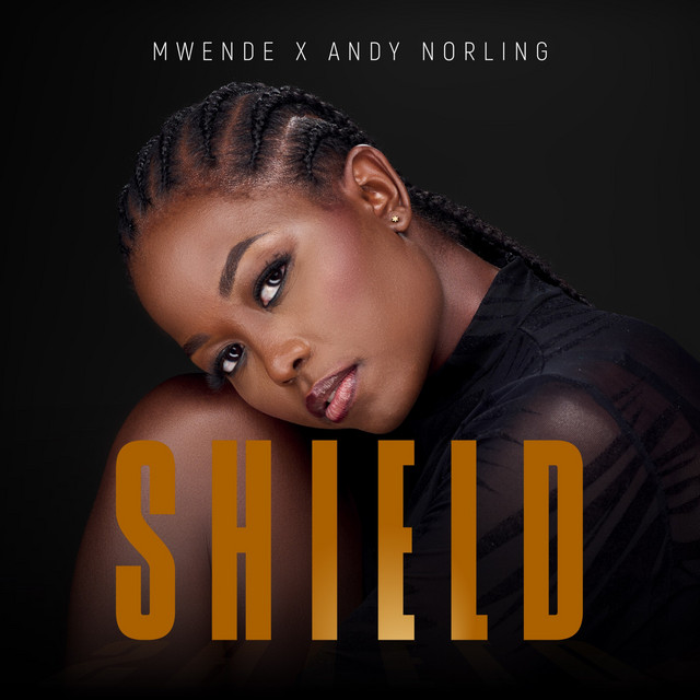 Shield