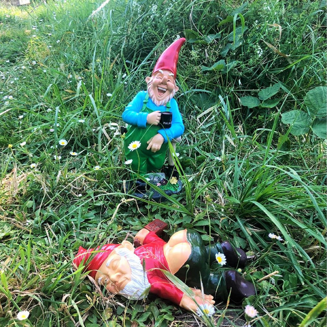 The Drunken Gnome Requiem cover art