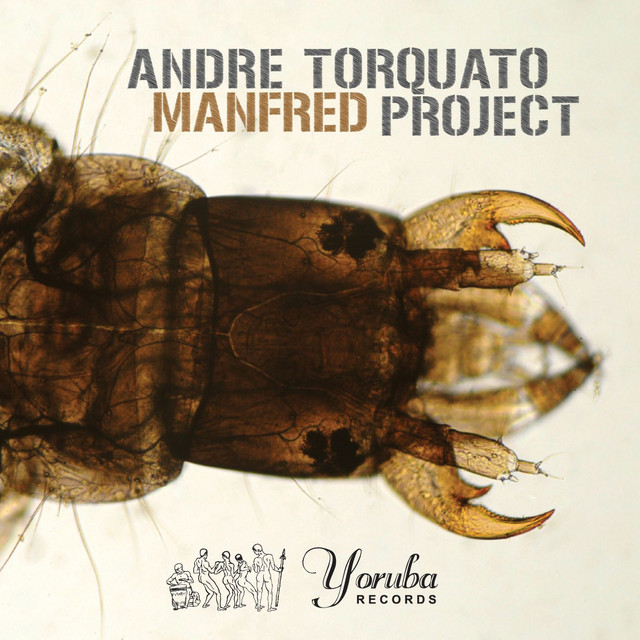 Manfred cover