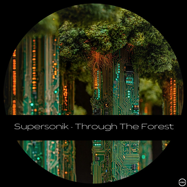 Pochette du titre Through The Forest
