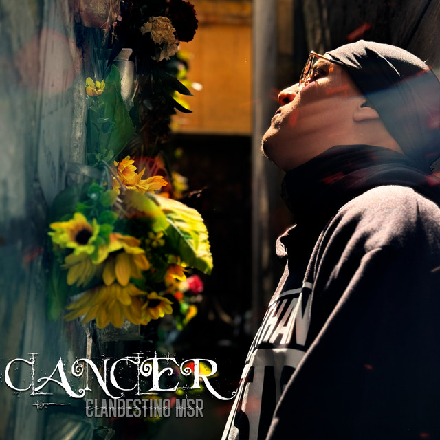 Cancer
