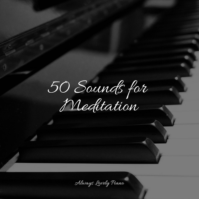 50 Sounds for Meditation - Album by Exam Study Classical Music | Spotify