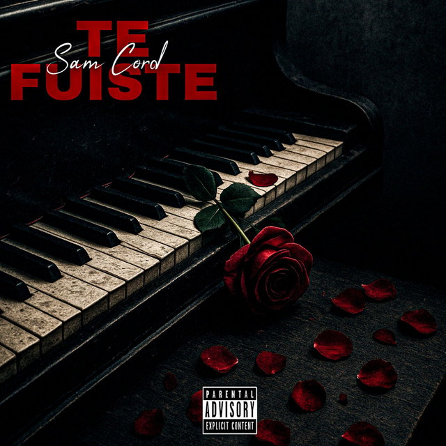 TE FUISTE