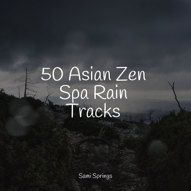 50 Asian Zen Spa Rain Tracks - Album by Music to Relax in Free Time ...