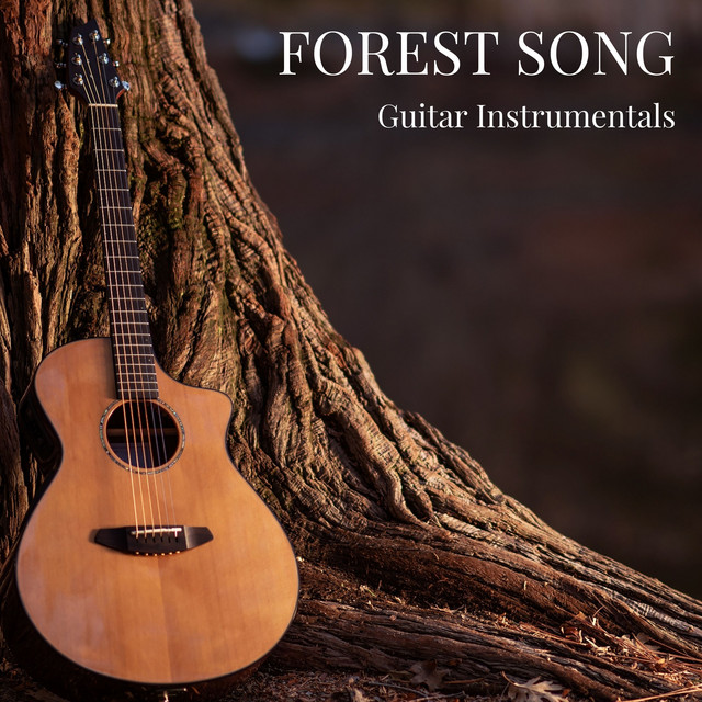 Forest Song: Instrumental Guitar Harmony cover art