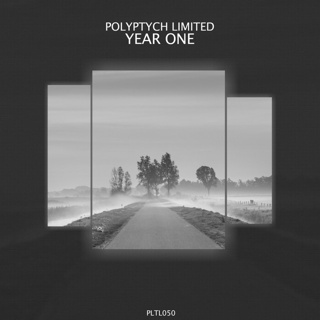 Polyptych Limited: Year One cover art