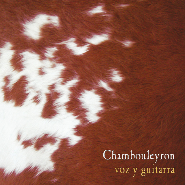 Voz y Guitarra cover art