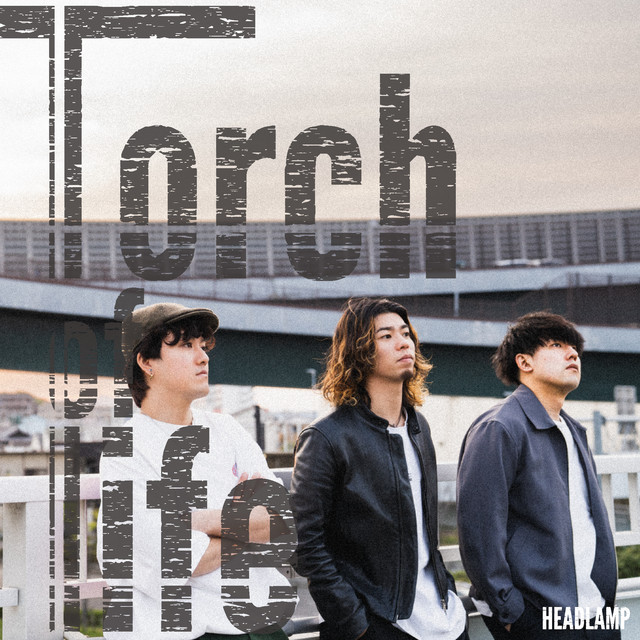 Torch of life cover