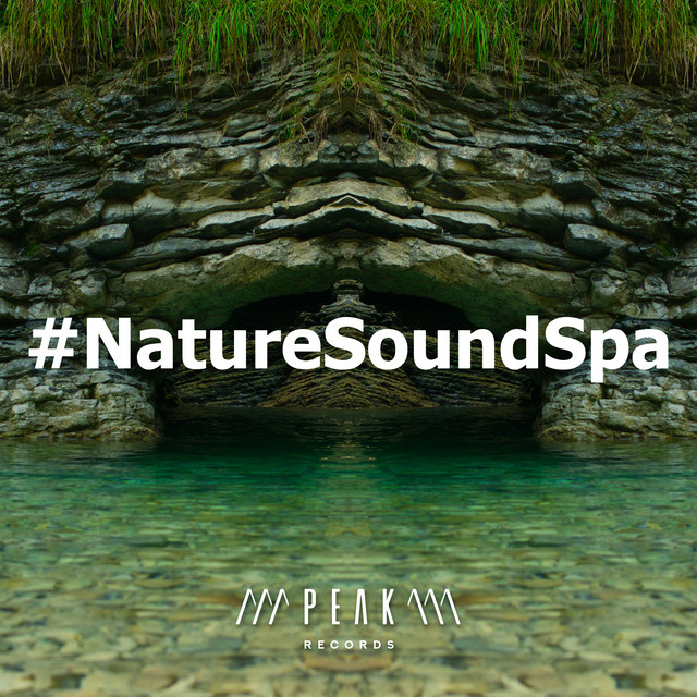 #NatureSoundSpa - Album by Nature Sounds Relaxation: Music for Sleep ...