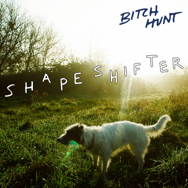 Shapeshifter cover