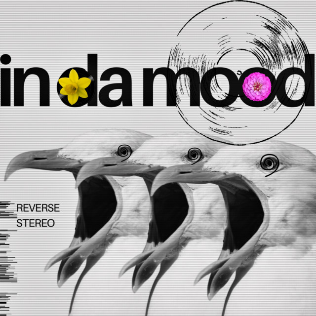 Reverse Stereo – In Da Mood