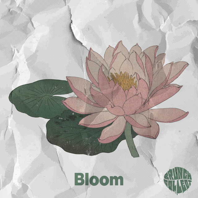 Koi cover art