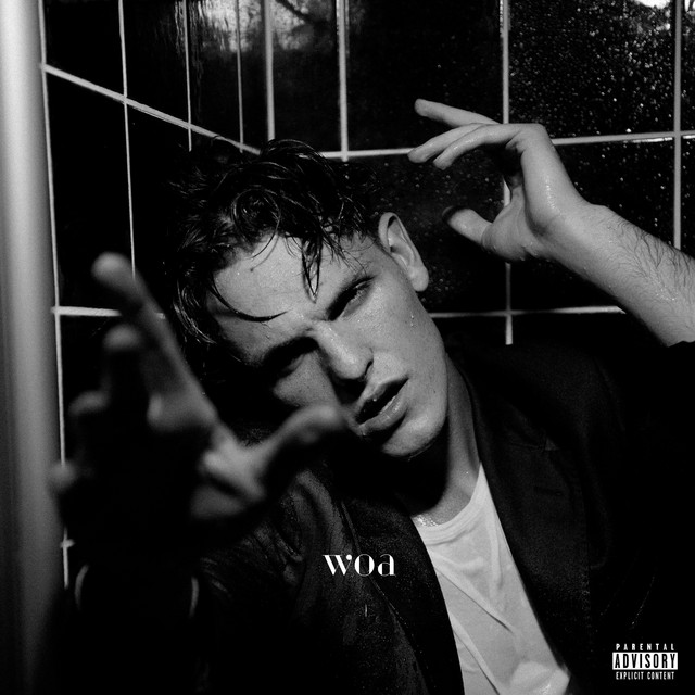 woa cover art