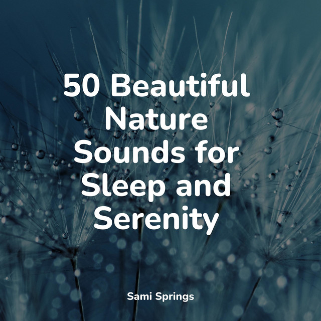 50 Background Rain Sounds Perfect for Sleep - Album by Study Music ...