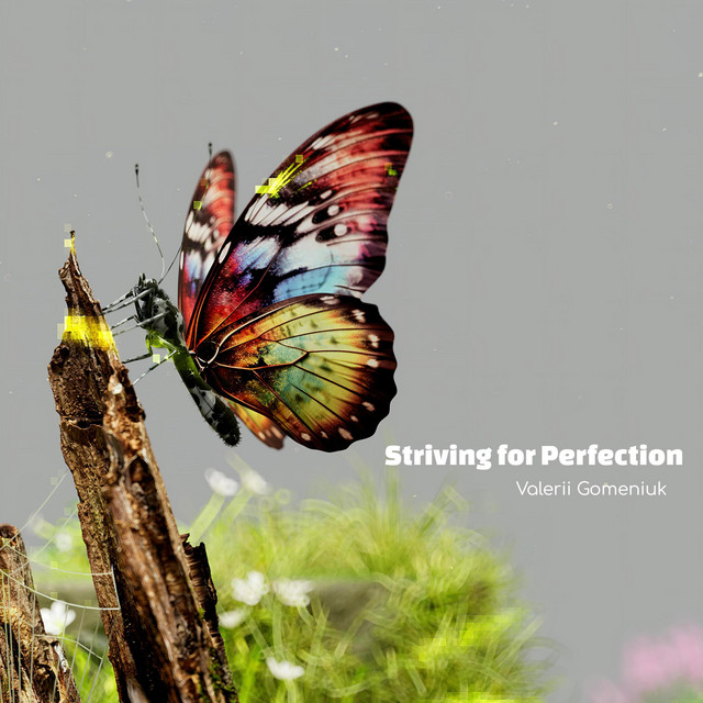 Обкладинка: Striving for Perfection — Valerii Gomeniuk