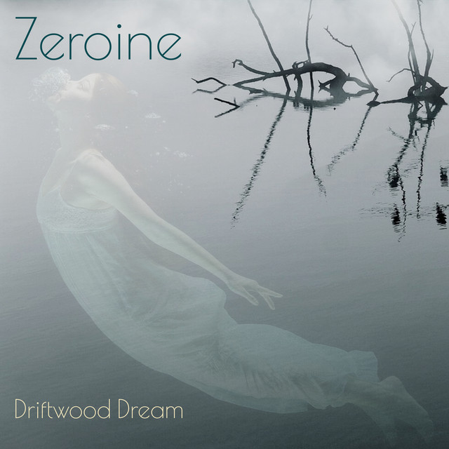 Driftwood Dream cover art