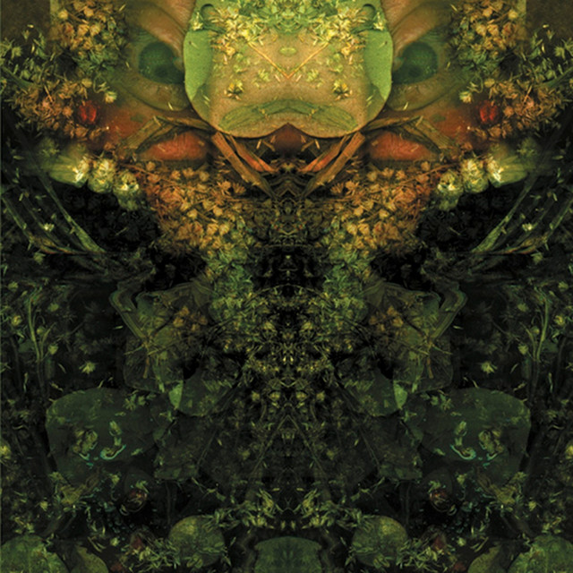 Edward's Lament cover art