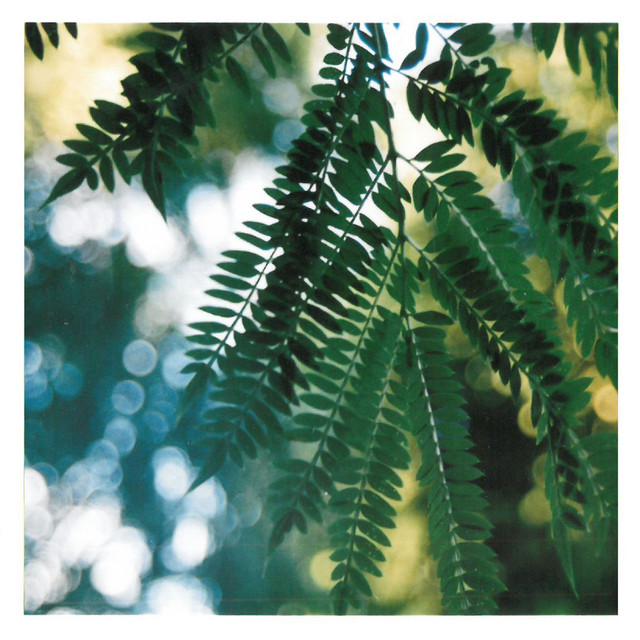 Nothing But Oxygen cover art