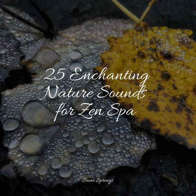 25 Enchanting Nature Sounds for Zen Spa - Album by Pet Care Music ...
