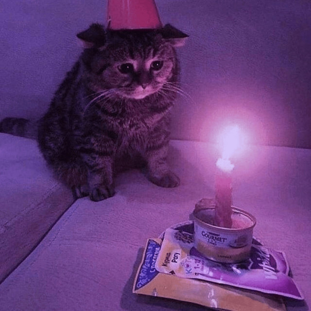 Birthday Pillowtalk cover art