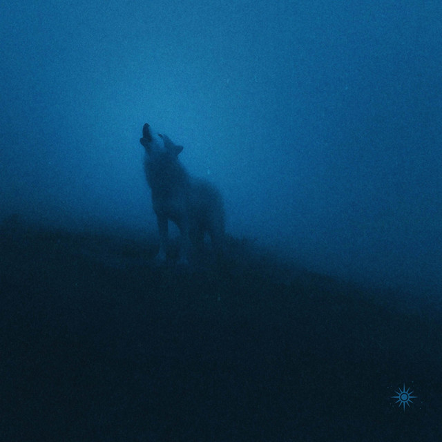 Cover art: howl of the night — Inlirium