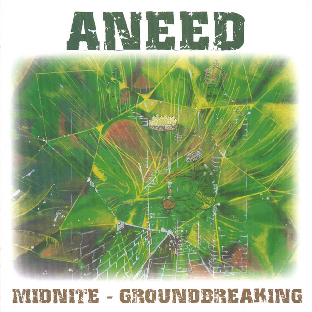 ANEED cover art