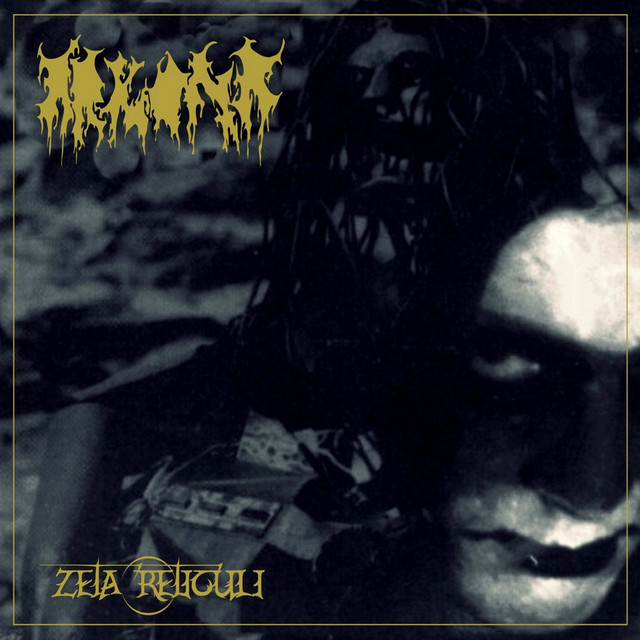 Zeta Reticuli (A Tale About Hatred and Total Enslavement) cover art