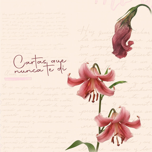 Cartas Que Nunca Te Di