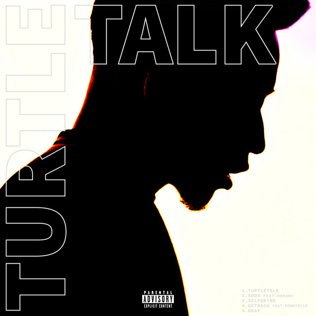 TURTLE TALK cover art