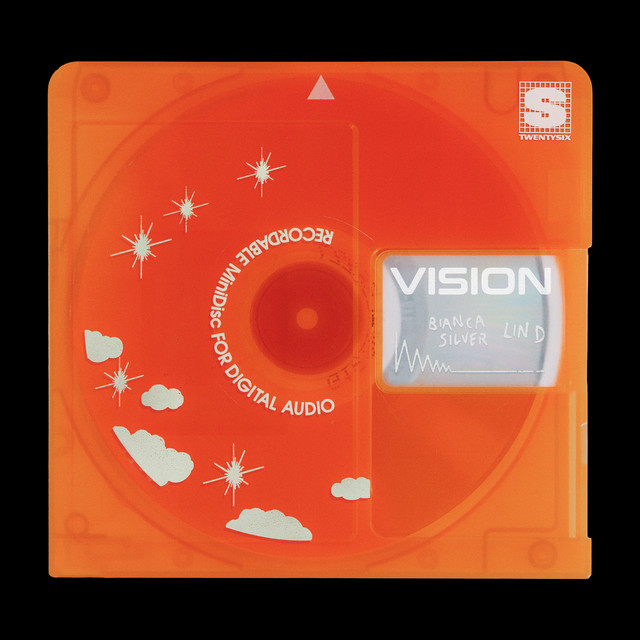 Vision