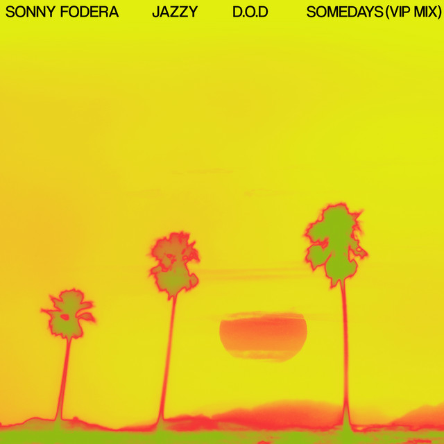 Somedays (VIP Mix) cover art