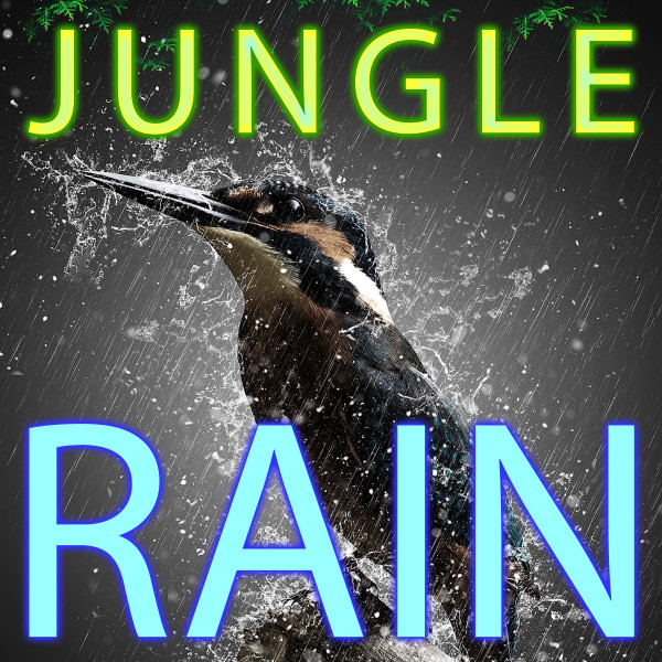 Jungle Nature Sound