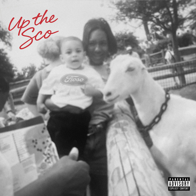 Up The Sco cover art