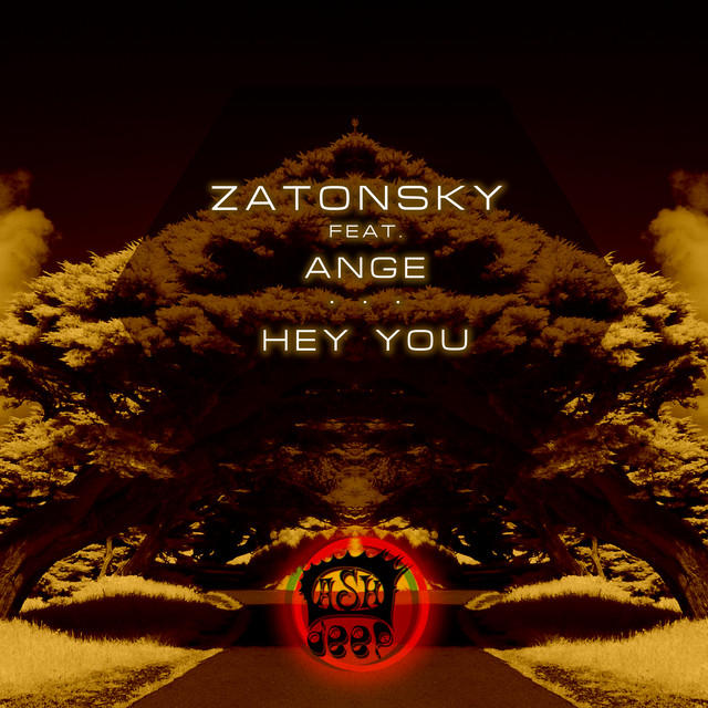 Hey You cover art