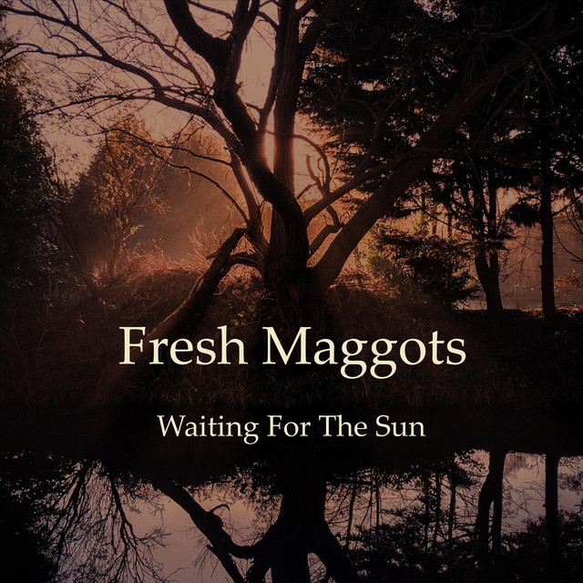 Waiting for the Sun cover art