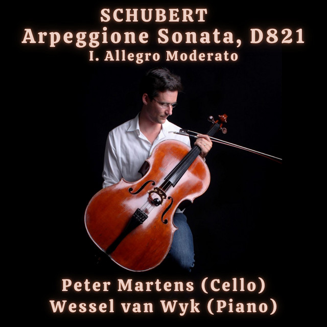 Schubert: Arpeggione Sonata , D.821, I. Allegro Moderato