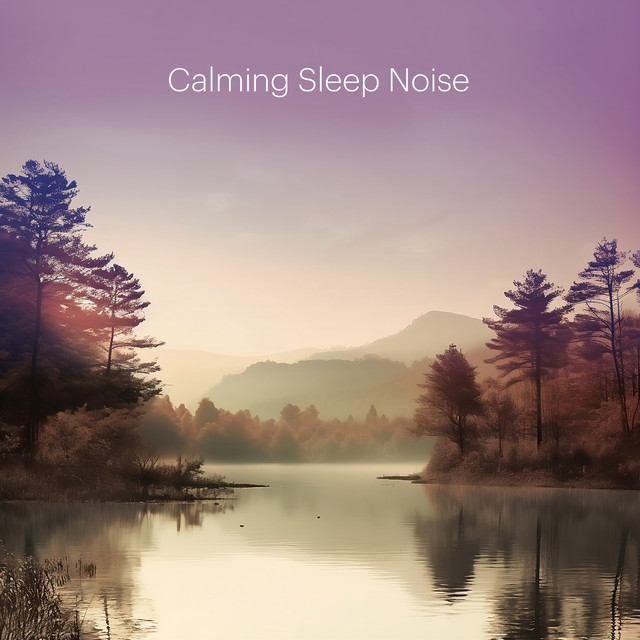 Calming Sleep Noise cover art