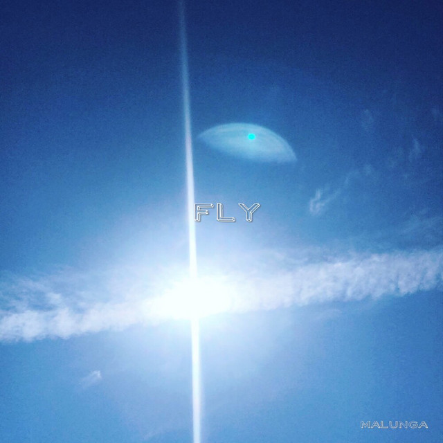 Fly cover art