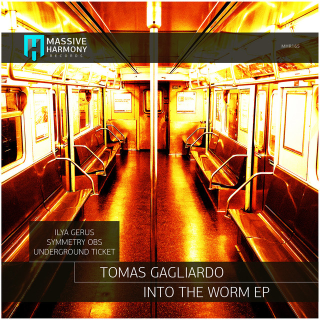 Into the Worm - Original Mix cover art