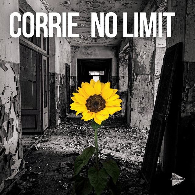 No Limit cover art