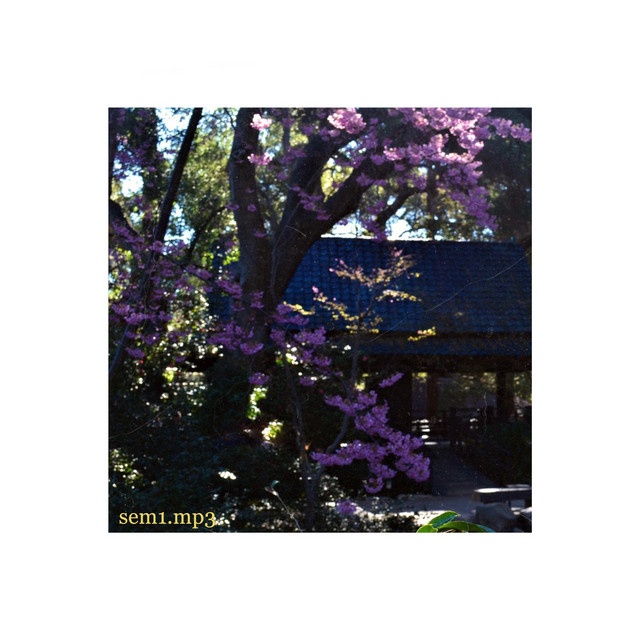 sem1.mp3 cover art