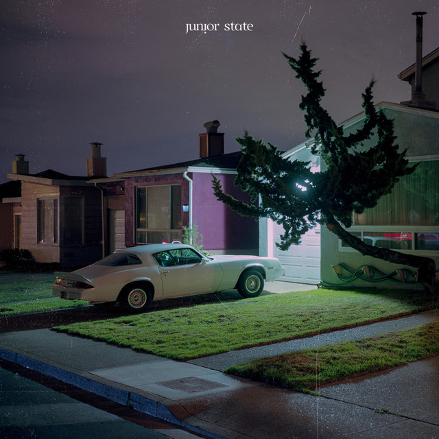 Shelter cover art