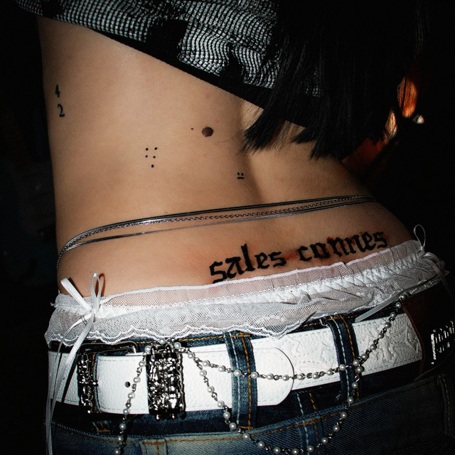 Sales connes cover art