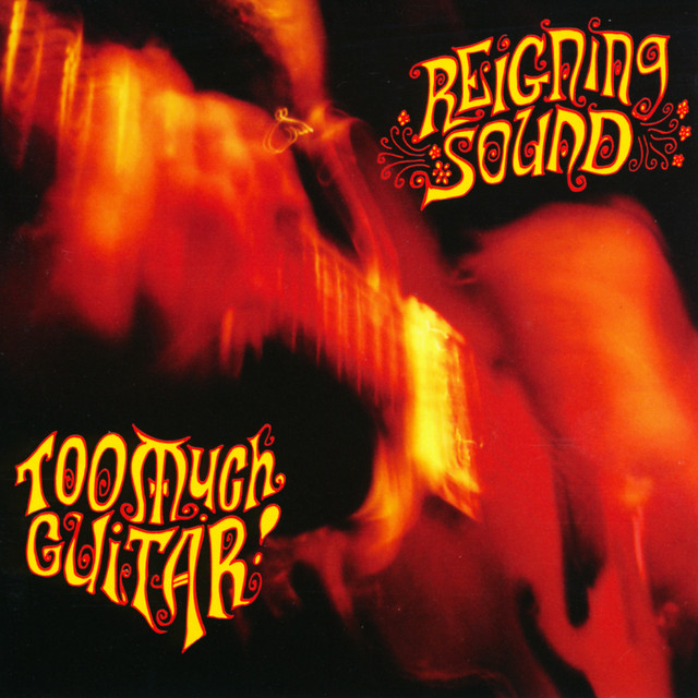 Too Much Guitar cover art