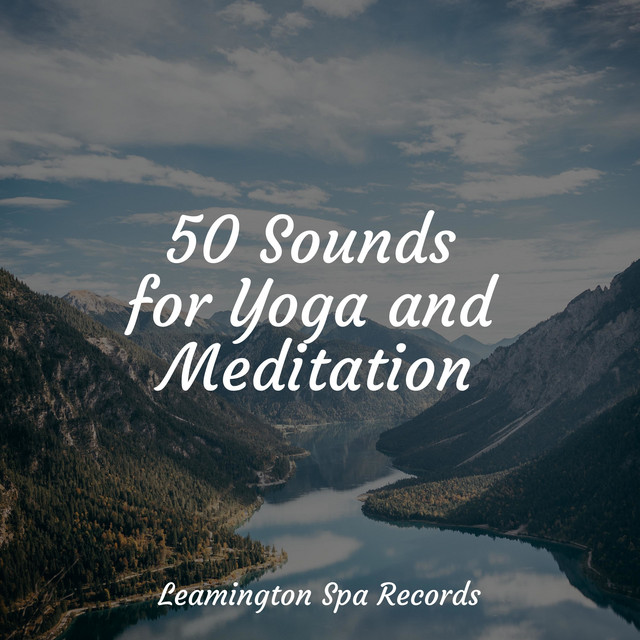 50 Sounds for Yoga and Meditation - Album by Spa Music Relaxation | Spotify
