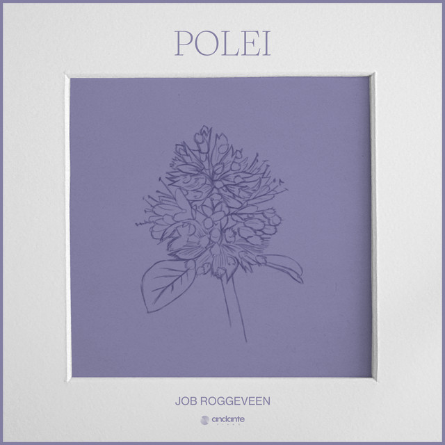 Polei
