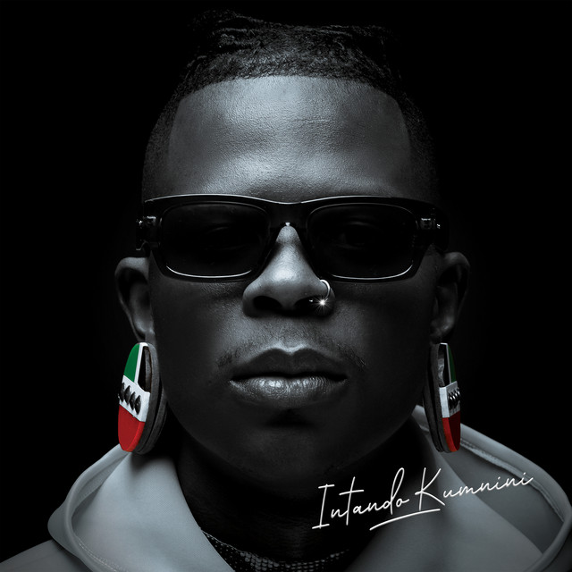 Iyalendezela album image