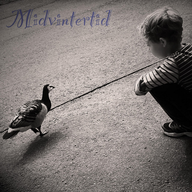 Midvintertid cover art
